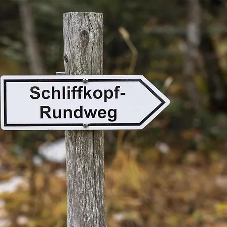 Wellness-& Nationalpark Hotel Schliffkopf, Bwsc-3