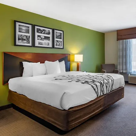 Sleep Inn & Suites Stockbridge Atlanta South-3