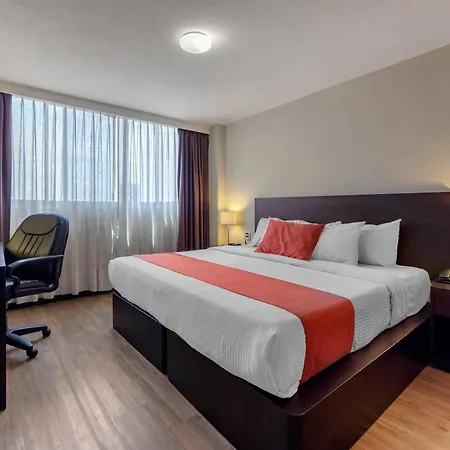 Comfort Inn San Luis Potosi-3