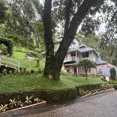 Violet Woods-The Infinity Pool Resort-2