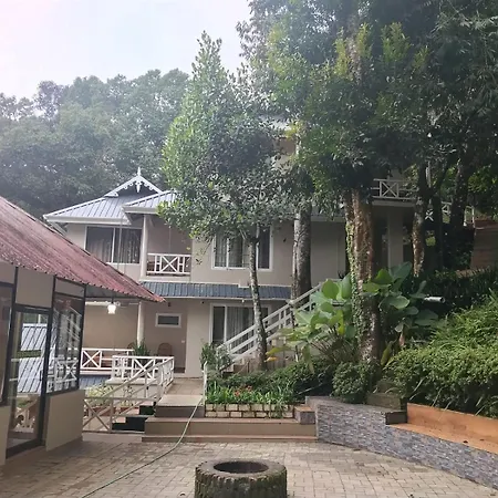 Violet Woods-The Infinity Pool Resort-3