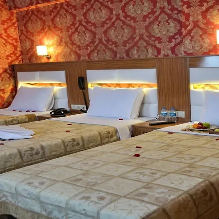 Hotel Star Park-3
