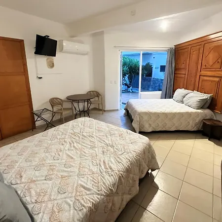 Hotel Allende-2