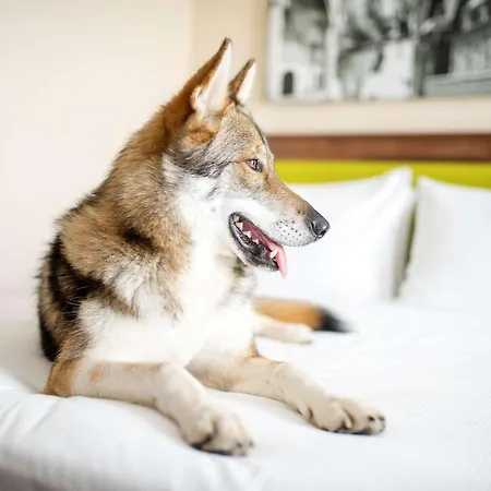Hampton By Hilton Krakow-3