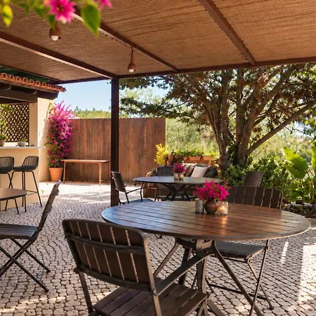 Gato Preto De Silves - Adults Only-3