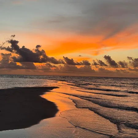 Samura Maldives Guest House Thulusdhoo-2