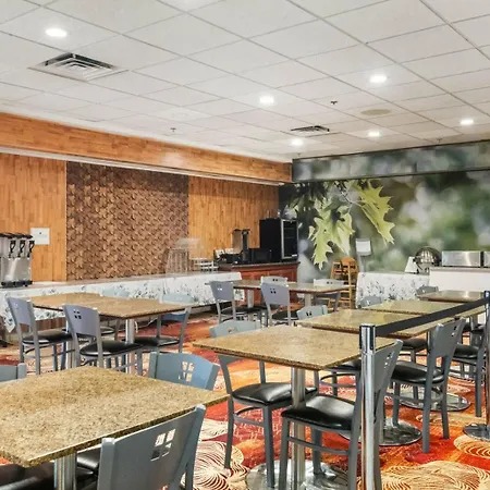 Medallion Inn And Suites-2