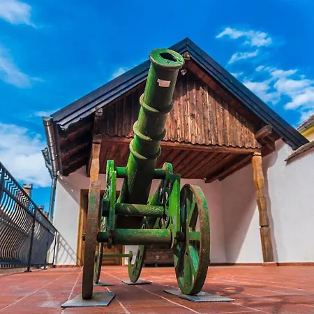 Casa Veche-2