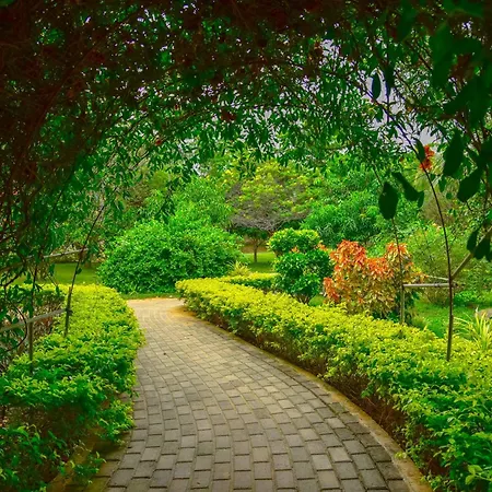 Lake Villa Resort-3
