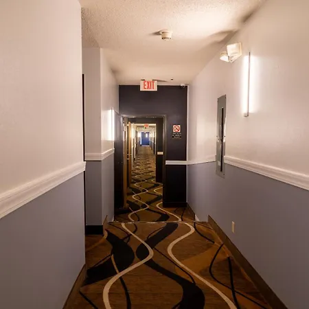 Coratel Inn & Suites By Jasper Hastings-2