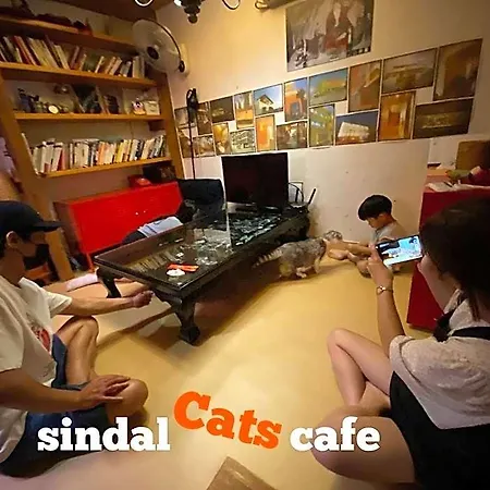 Sindal Guesthouse-3