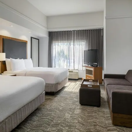 Springhill Suites By Marriott Charleston North-2