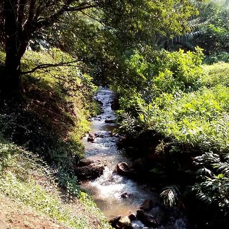Africa'S Eden Guesthouse-2