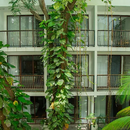 Living Bloom Concept Hotel Tulum (Adults Only)-2