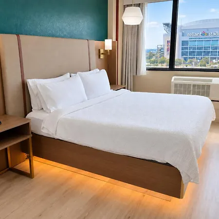 Holiday Inn Houston S - Nrg Area - Med Ctr By Ihg-3