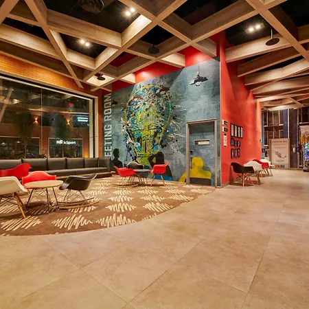 Ibis Torreon-2