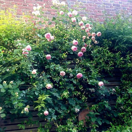 La Campagne A Paris B&B-3