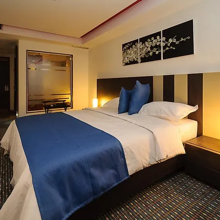Hotel Alex Caracas-3