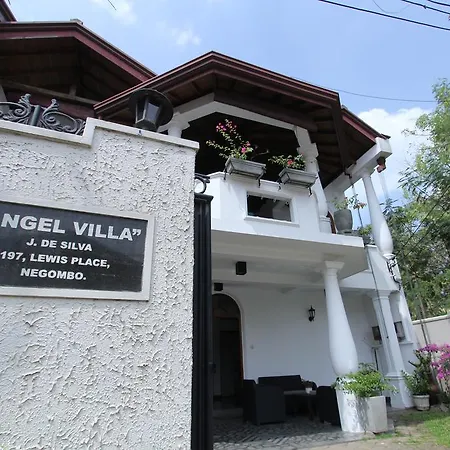 Angel Villa-2