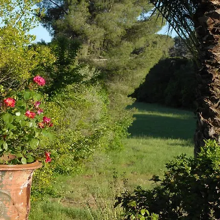 La Bellonette-2