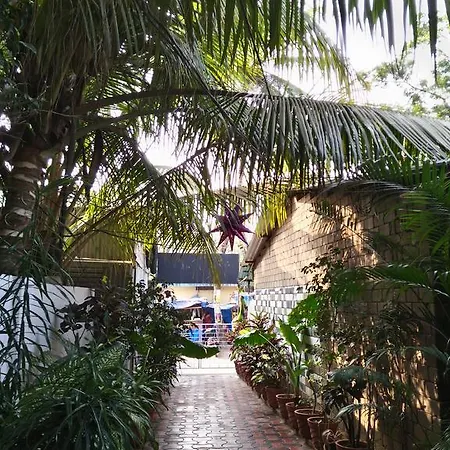 Alba Rooms Palolem Rosebuds-3