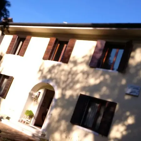 Villa Dei Pini-3