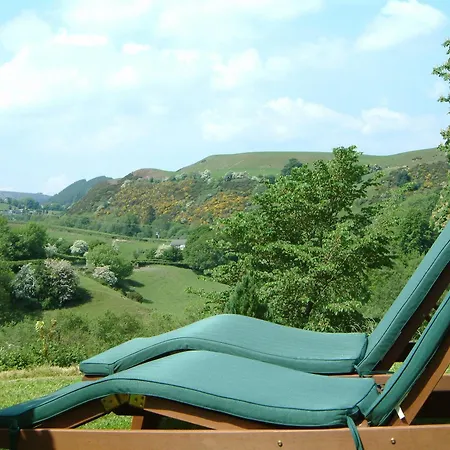 Pen-Y-Dyffryn Country Hotel-3
