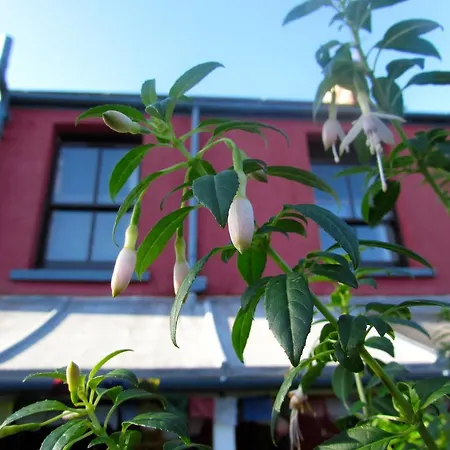 Western House-3