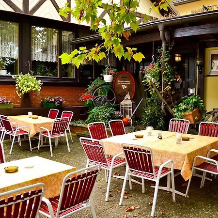 Landgasthof mit Gästezimmer Frohe Einkehr-2