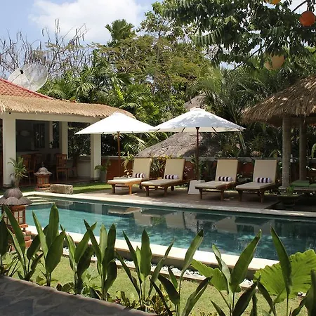 Papaya Guesthouse-2