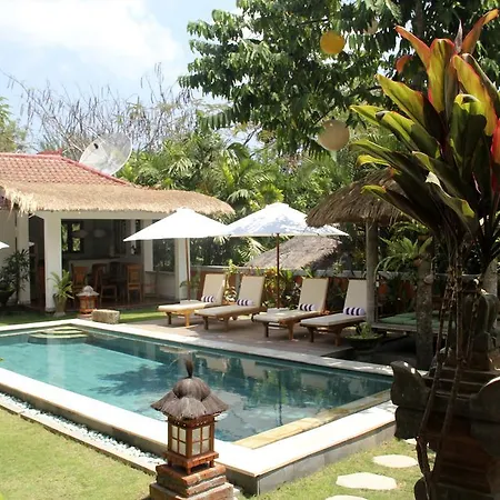 Papaya Guesthouse-3