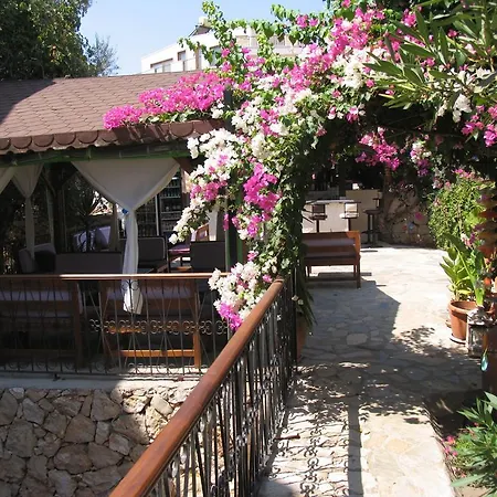 Pasha Suites-2