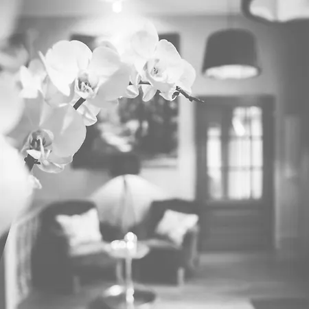 Hotel Bellini-2