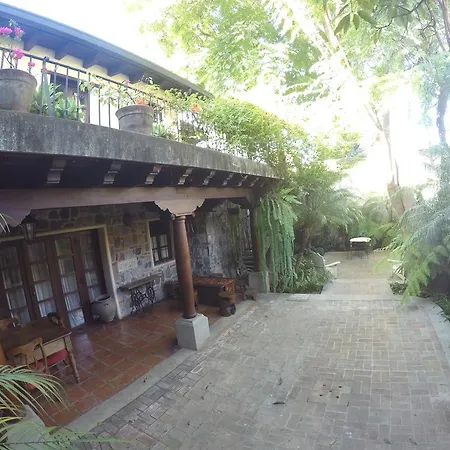 Cissus Hotel Boutique (Adults Only)-3
