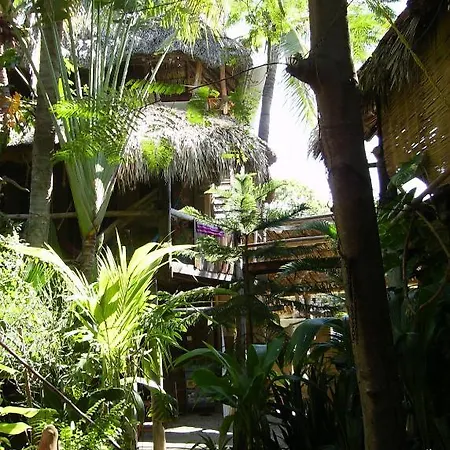 Castillo Oasis-2