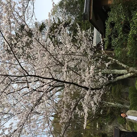 Ryokan Uemura-2