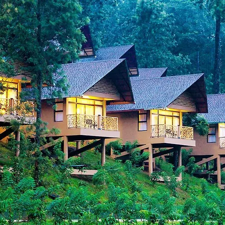 Kofiland Resort-2