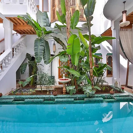 Riad Moucharabieh Matisse-3