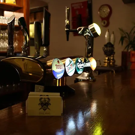 Pyne Arms-3