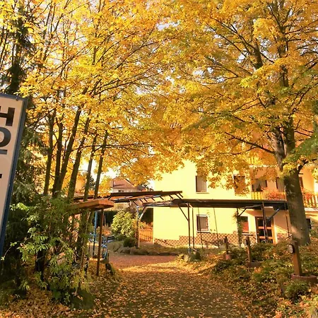Hotel Weidenau-2