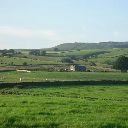 Moor View-3