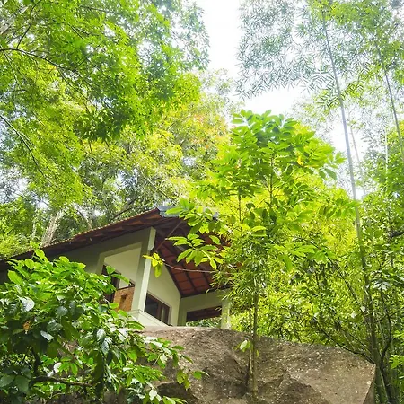 Edakkal Hermitage Resorts-2