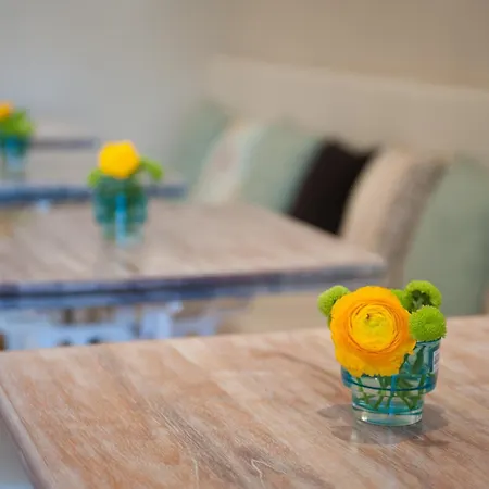 Bachome Terrace B&B-3