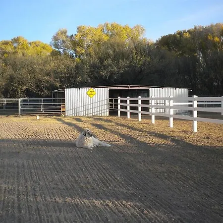 Lazy Dog Ranch-3