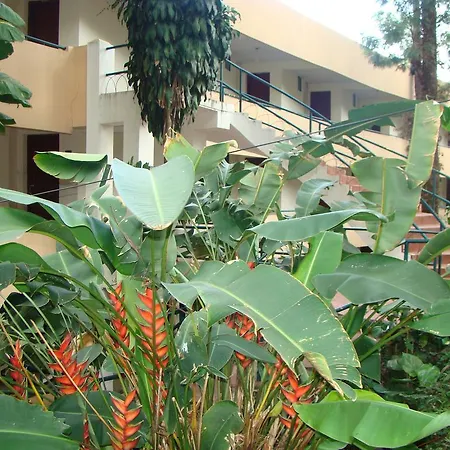 Hotel Shevaroys-2