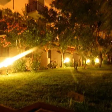 Star Hotel-2