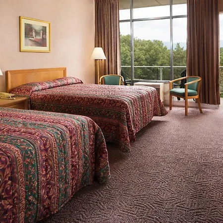 Luray Caverns Motels-3