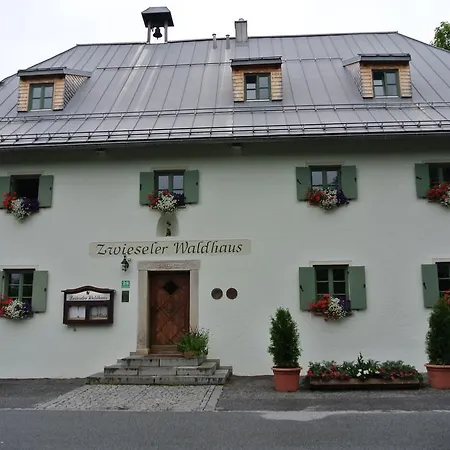 Zwieseler Waldhaus-2