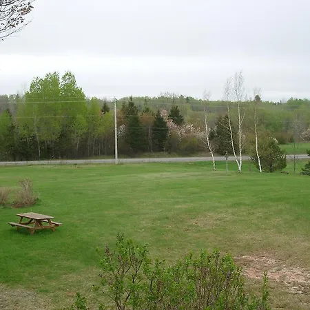 Forest Haven Inn-3