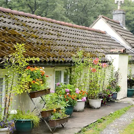 Ladywood House Bed And Breakfast-3